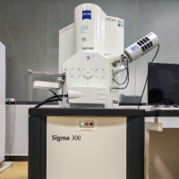 扫描电子显微镜